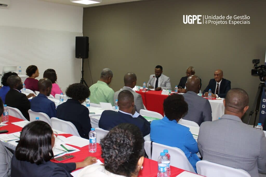 UGPE participa da Mesa redonda internacional sobre a Produção de Estatísticas Oficiais   da Diáspora Cabo-verdiana
