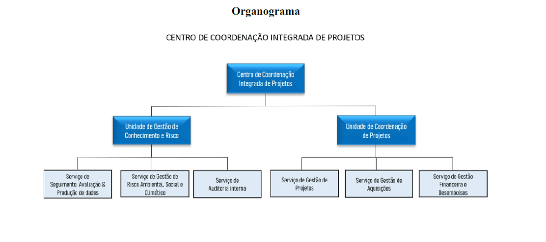 Organograma